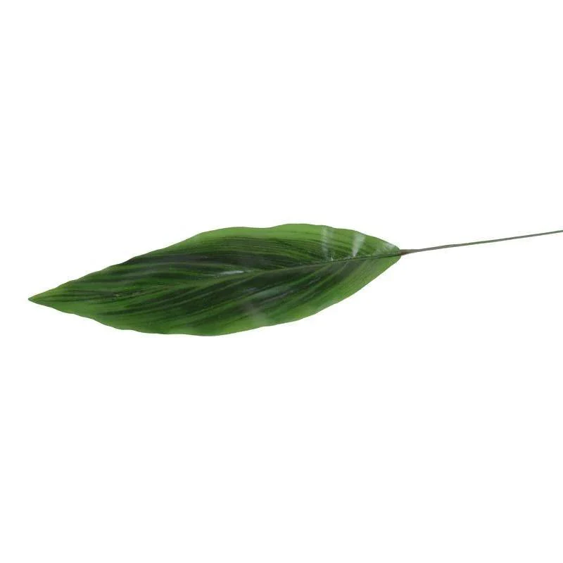 Aspidistra Leaf, 37″ L – Two-tone green