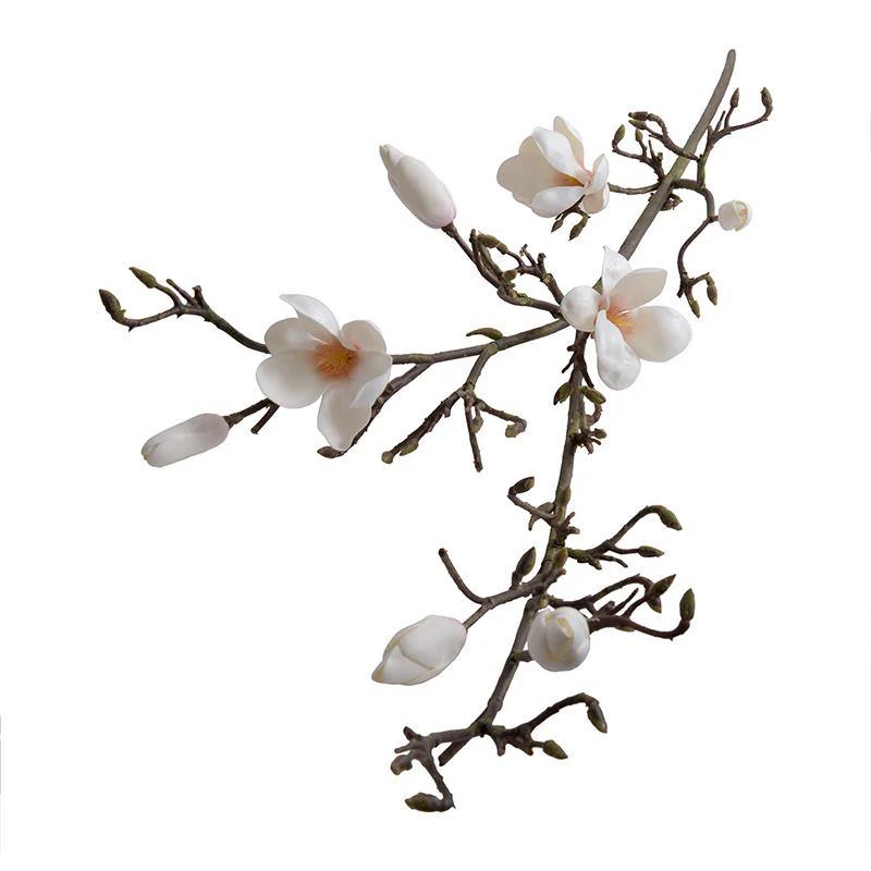 Magnolia Tree Branch - Image 2