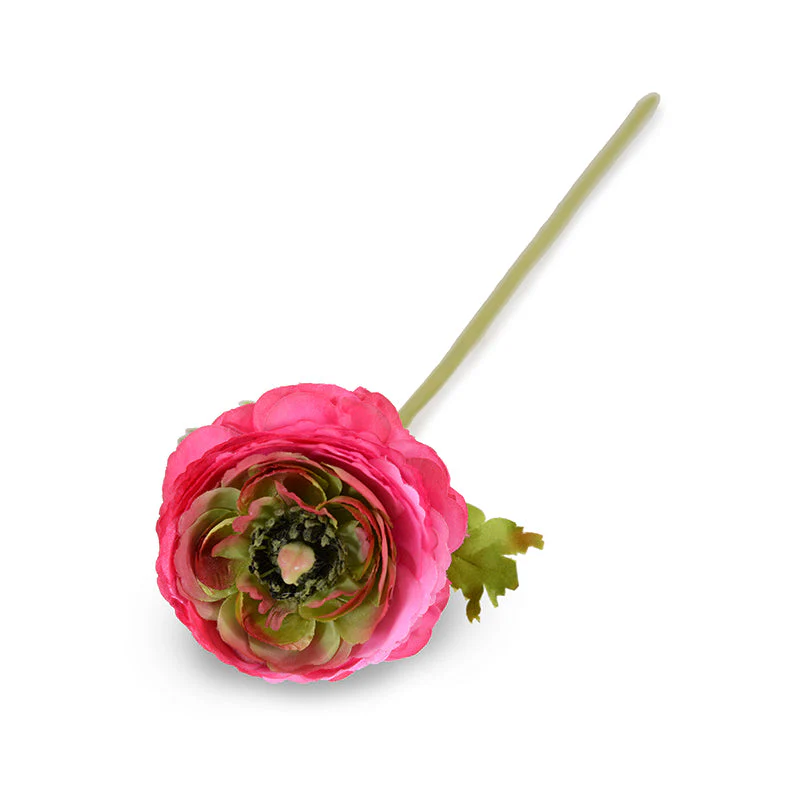 Ranunculus Stem, 15"L - Bright pink - Image 1
