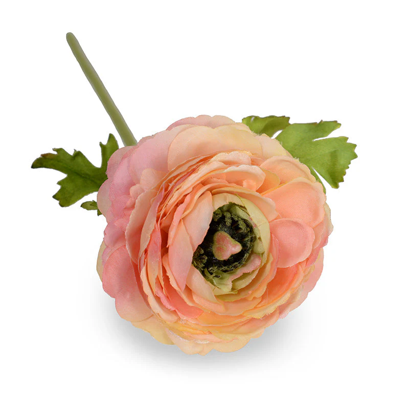 Ranunculus Stem, 15"L - Peach - Image 1