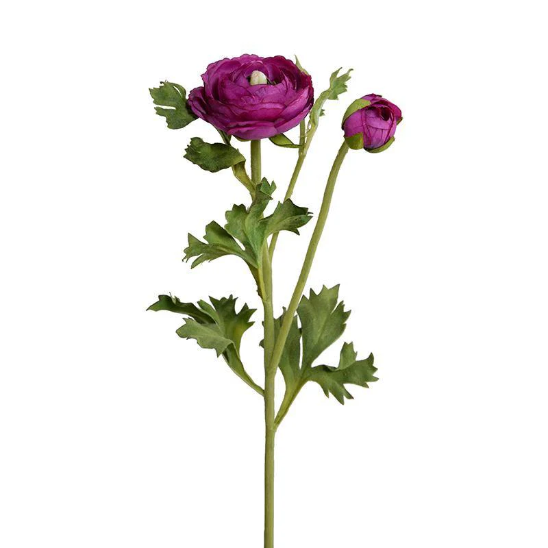 Ranunculus Spray, 14.5″ – Purple