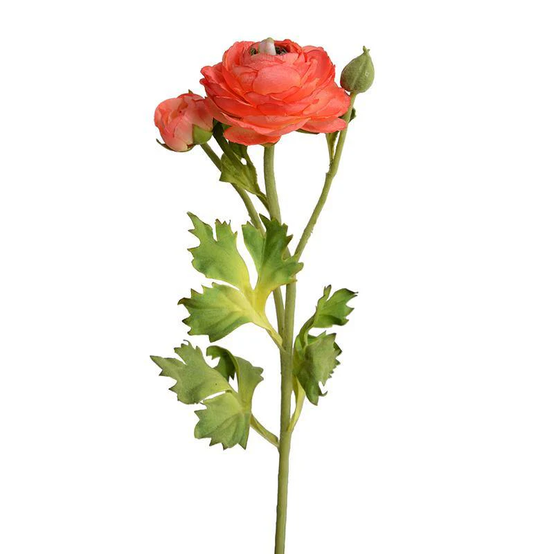 Ranunculus Spray, 14.5" - Orange - Image 1