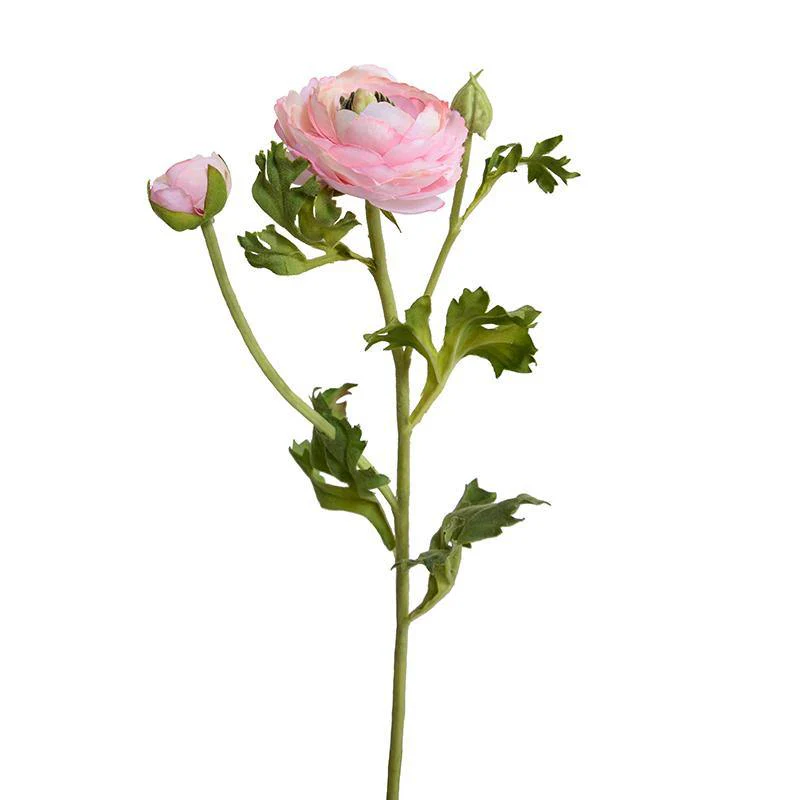 Ranunculus Spray, 14.5" - Light Pink - Image 1