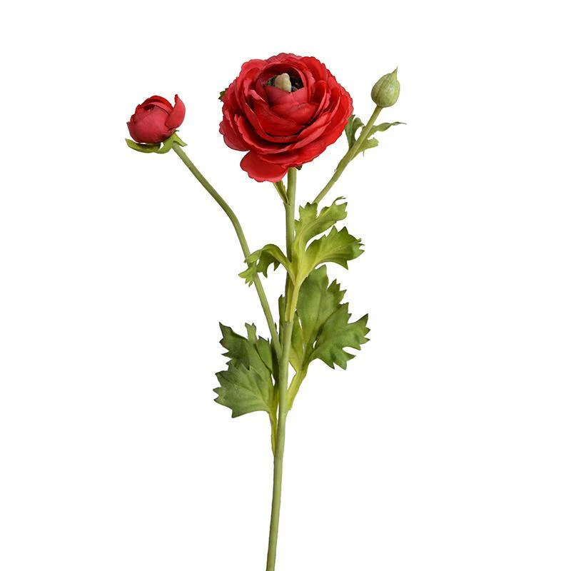 Ranunculus Spray, 14.5″ – Red