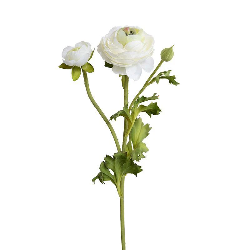 Ranunculus Spray, 14.5" - White - Image 1
