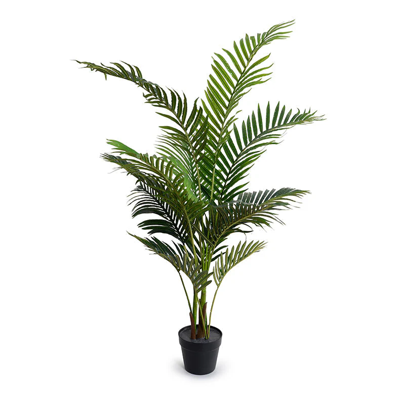 Kentia Palm Tree 48" - Image 1