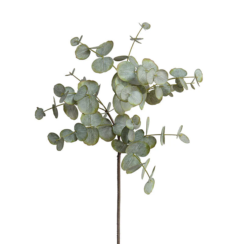Eucalyptus leaf spray, 34"L - Image 1
