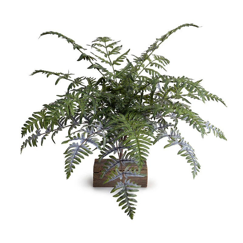 Athyrium Lady Fern Spray, 22"L Green-gray - Image 1