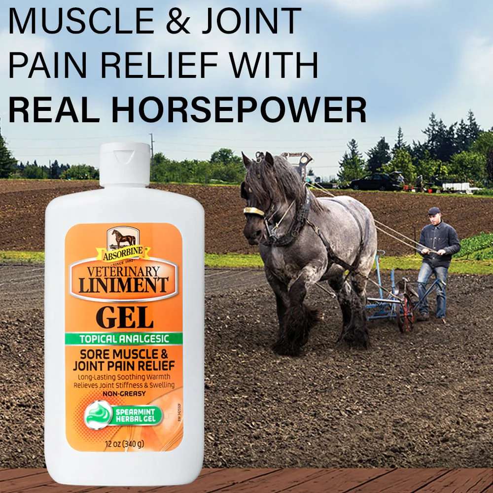 Absorbine Veterinary Liniment Gel - Image 2