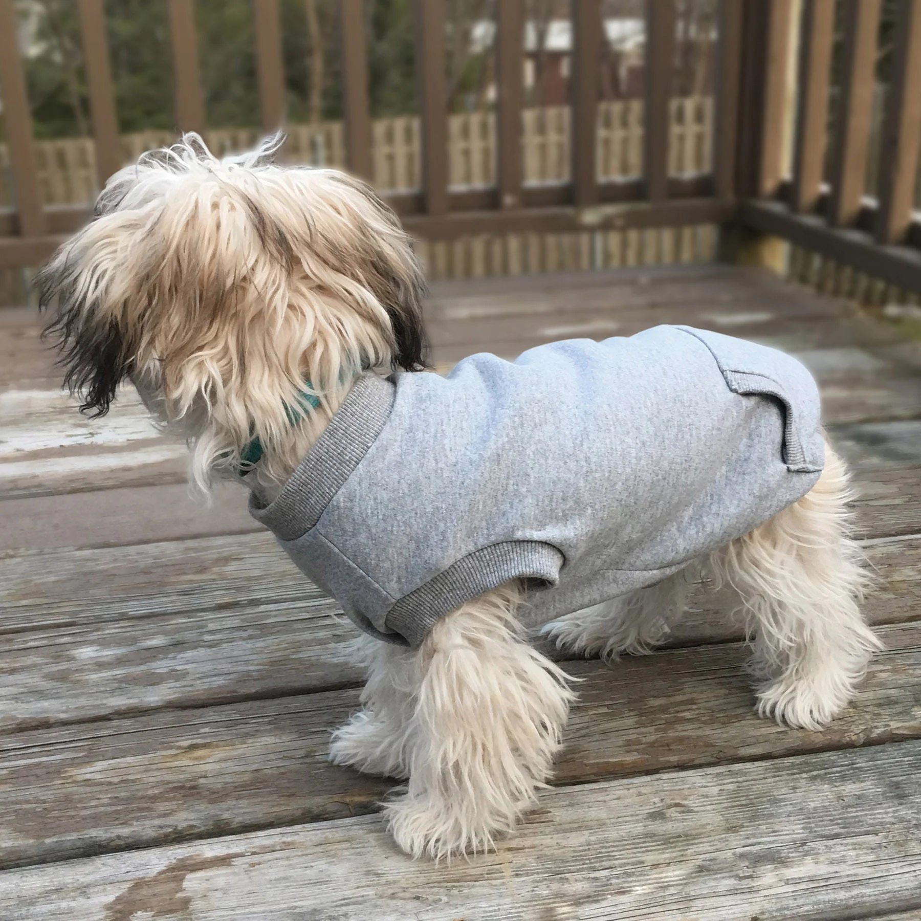 Activewear Sweatshirt for Dogs - Image 2