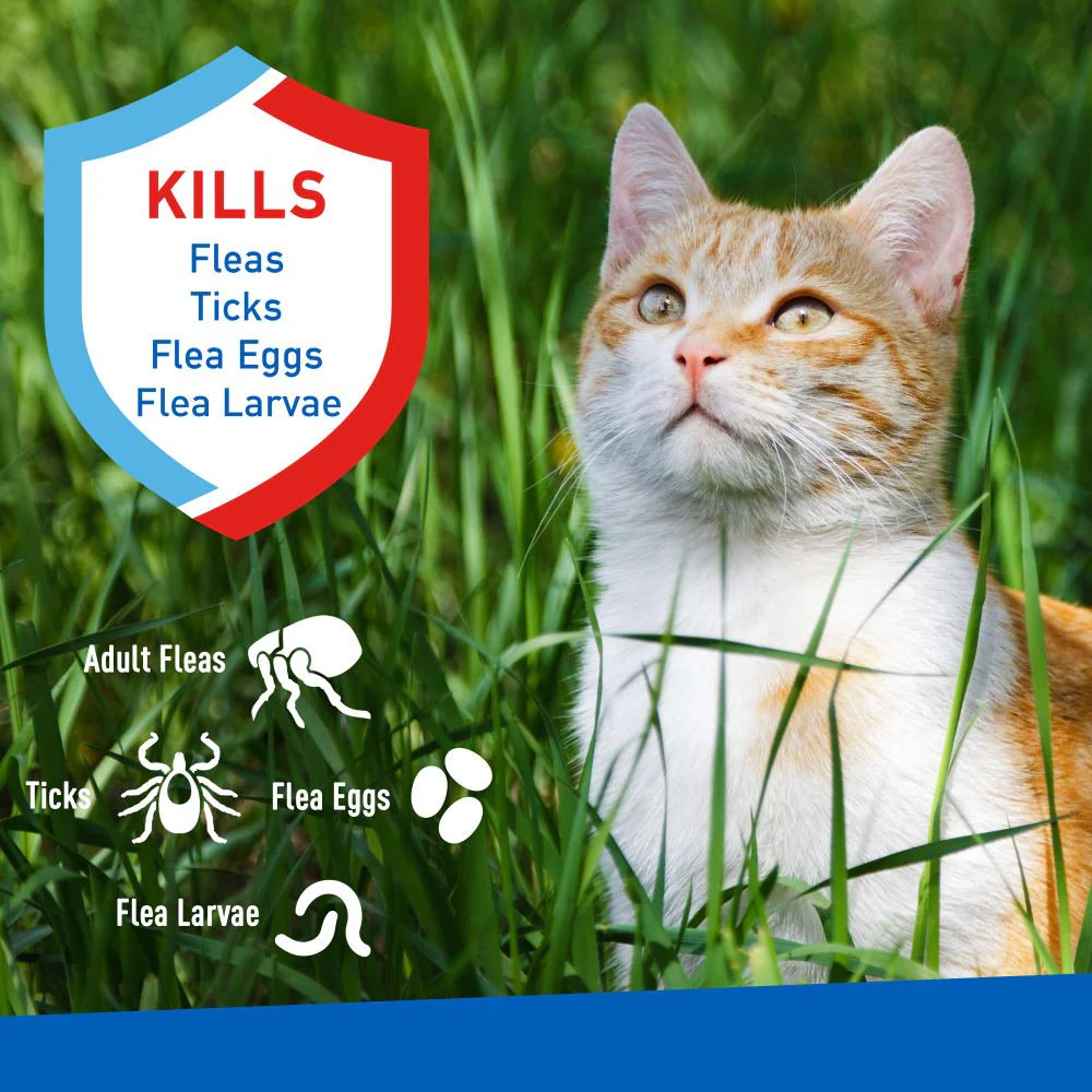 ADAMS Flea & Tick Spray For Cats, 16 oz - Image 2