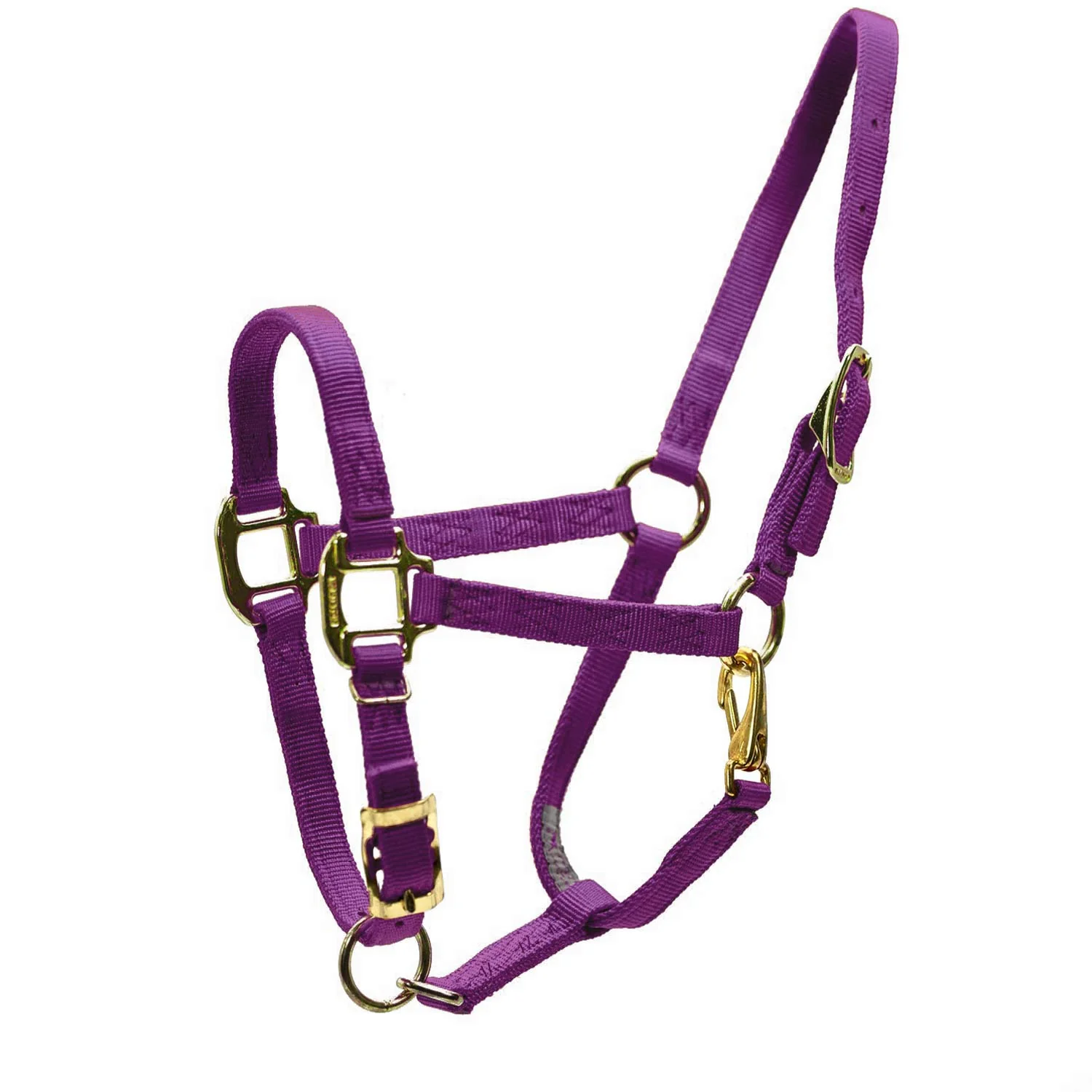 Adjustable Miniature Horse Halter with Throat Snap – 3/4″ Nylon