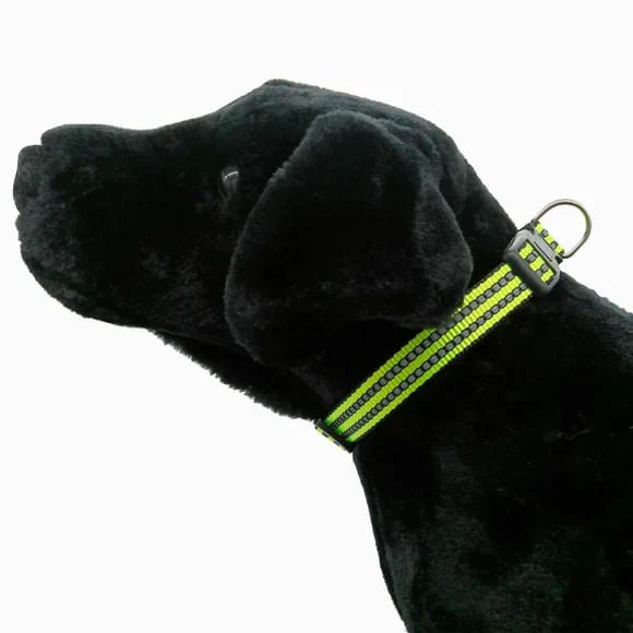 Adjustable Reflective Dog Collar, Assorted Colors, 15"-18.9" - Image 3