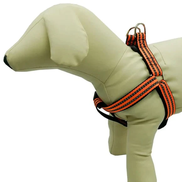 Adjustable Reflective Dog Harness, Assorted Colors, Up to 25 lbs - Image 3