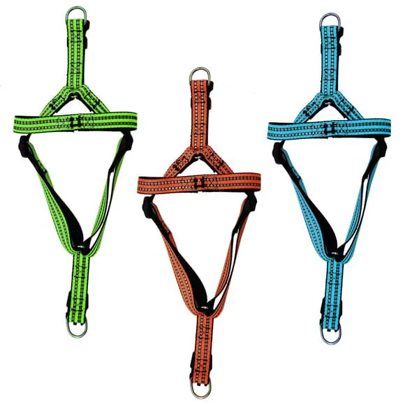 Adjustable Reflective Dog Harness, Assorted Colors, Up to 25 lbs - Image 2