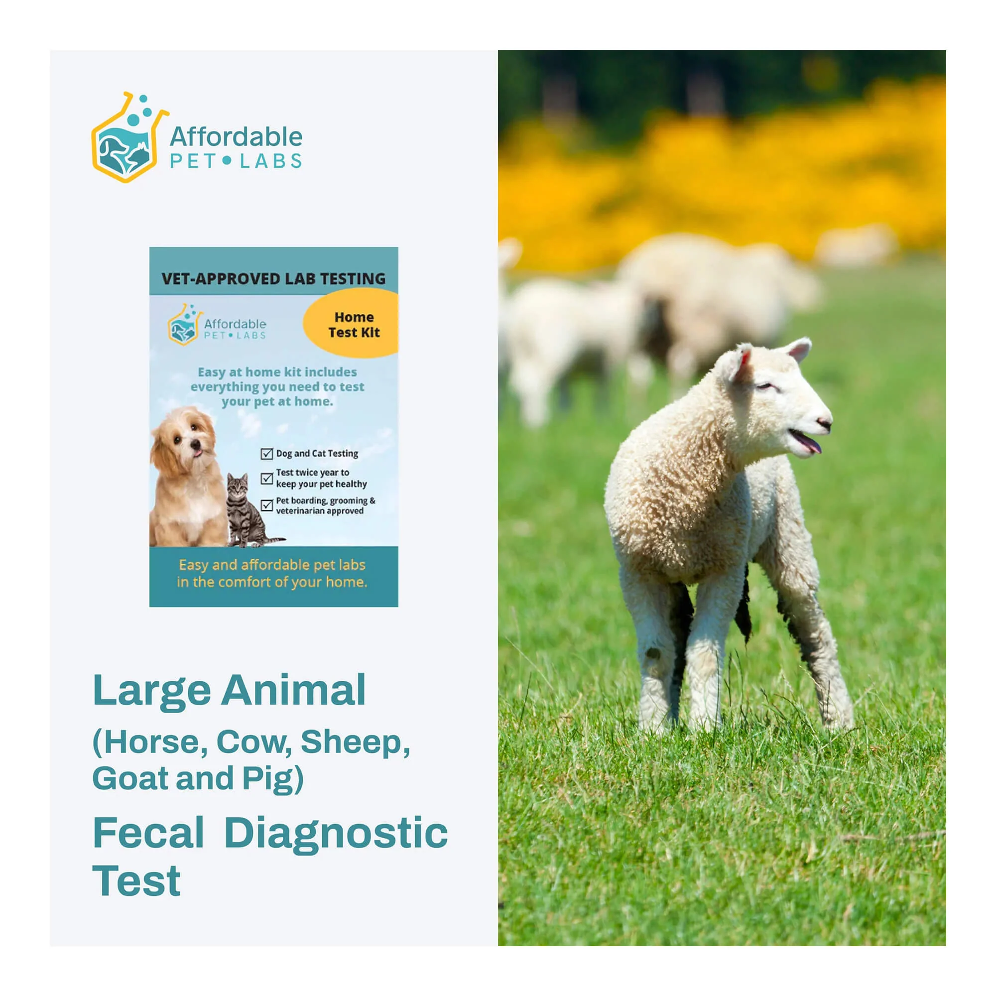 Affordable Pet Labs Large Animal (Horse, Cow, Sheep, Goat and Pig) Fecal Diagnostic Test, Easy Home Kit - Image 1
