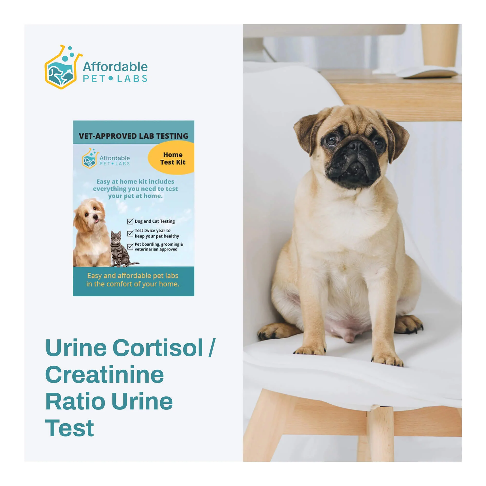 Affordable Pet Labs - Urine Cortisol / Creatinine Ratio Urine Test For Dogs, Easy Home Kit - Image 1