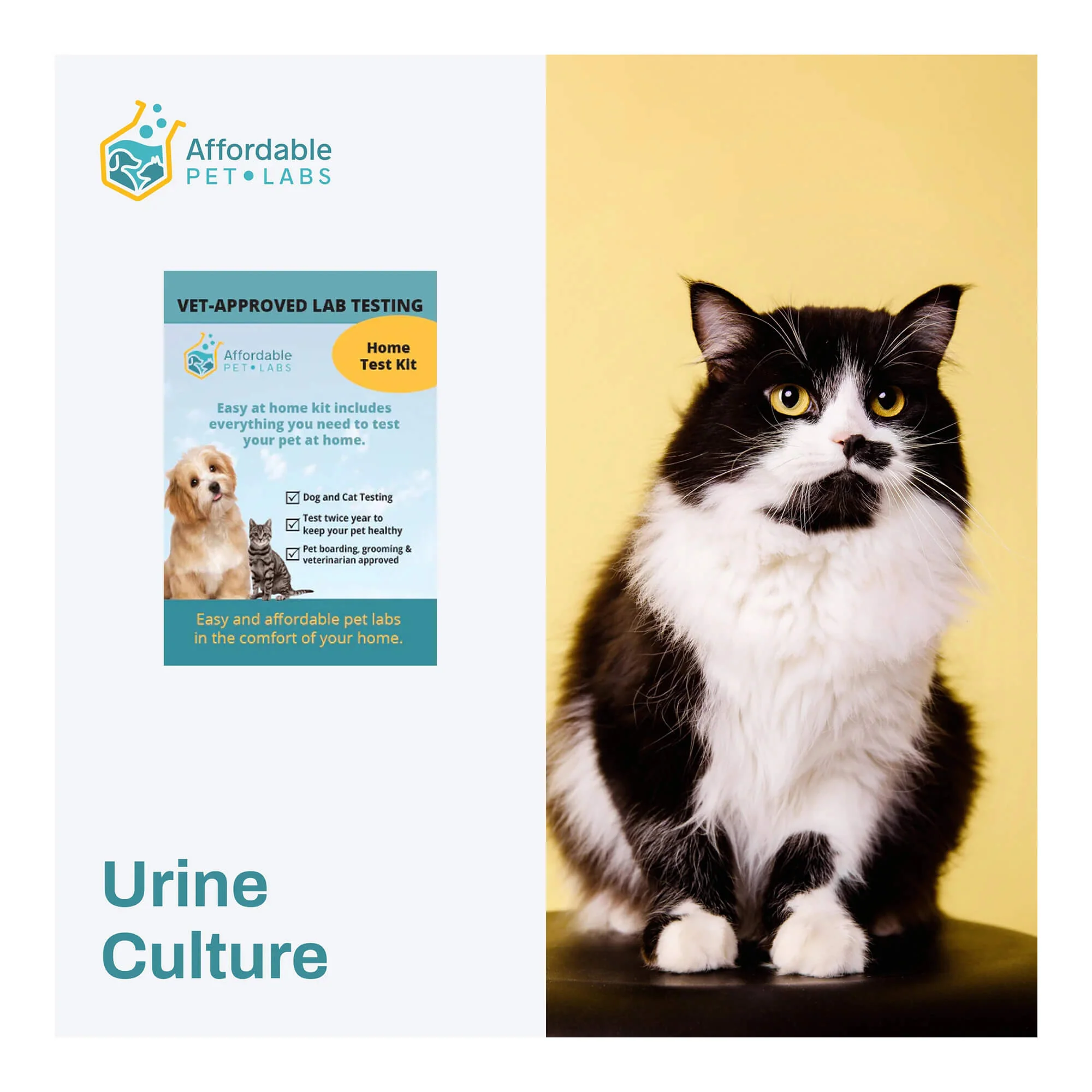 Affordable Pet Labs - Urine Culture For Cats, Easy Home Kit - Image 1