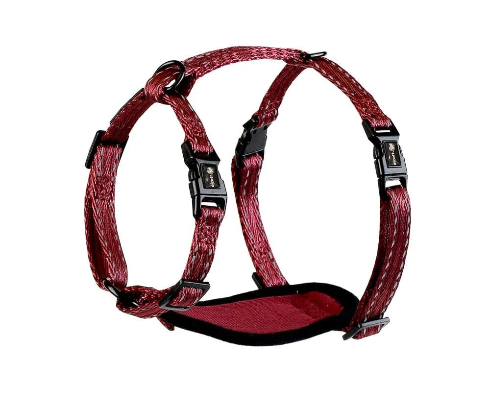 alcott Adventure Harness for Dogs