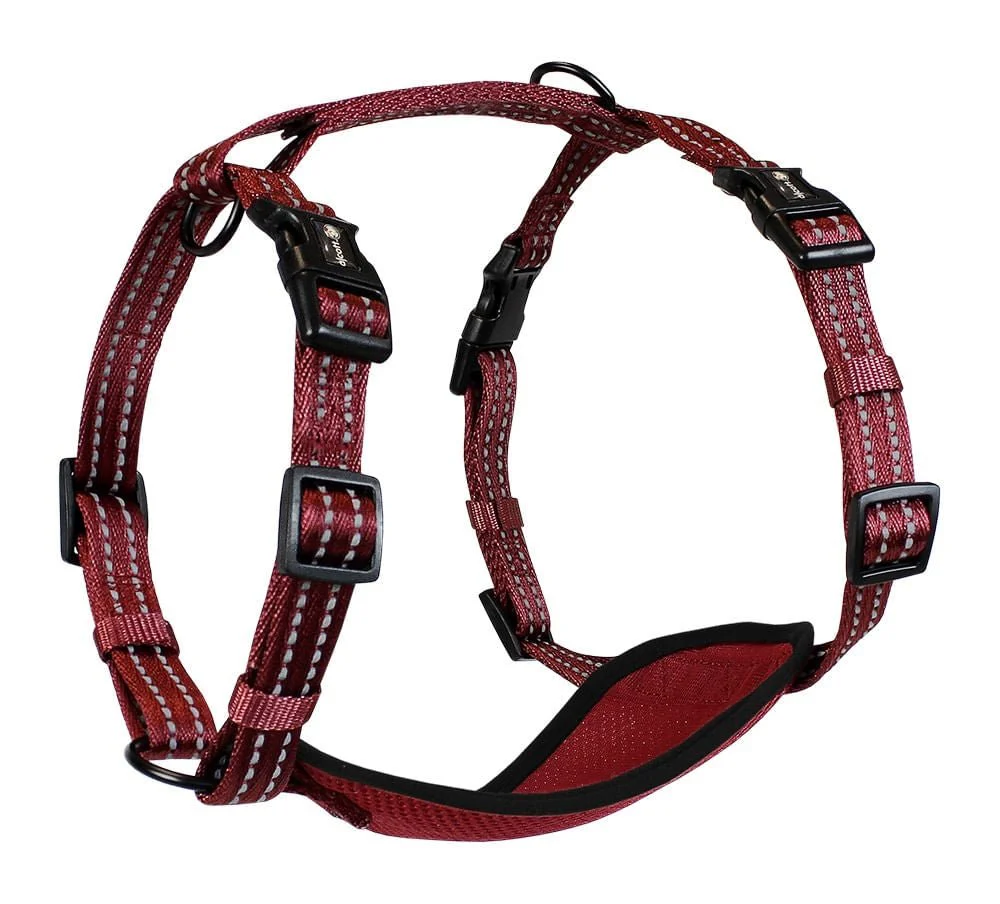 alcott Adventure Harness for Dogs - Image 3