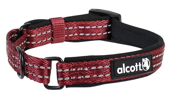 alcott Martingale Collar for Dogs