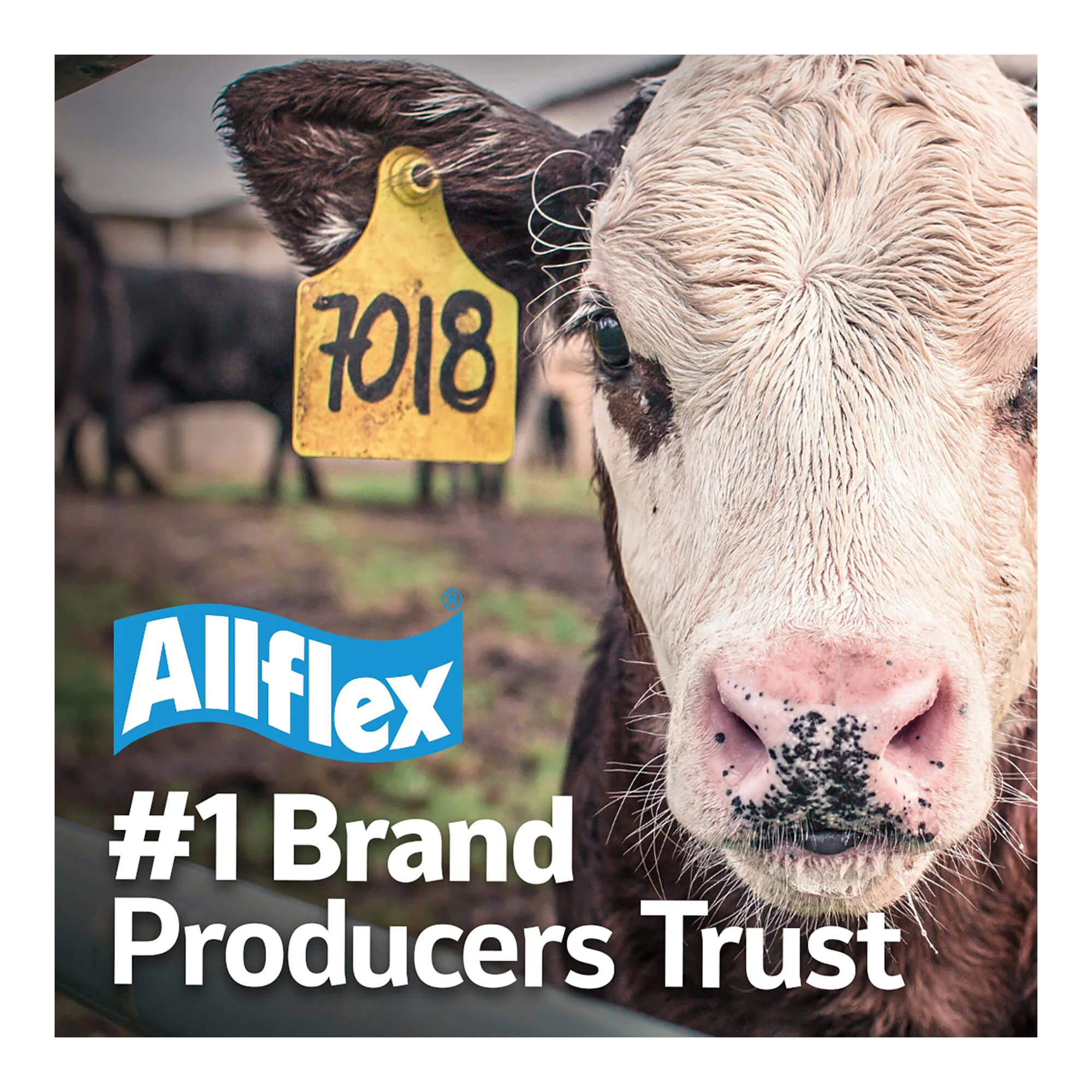 ALLFLEX Safety Ear Tag Removal Tool-Knife - Image 3