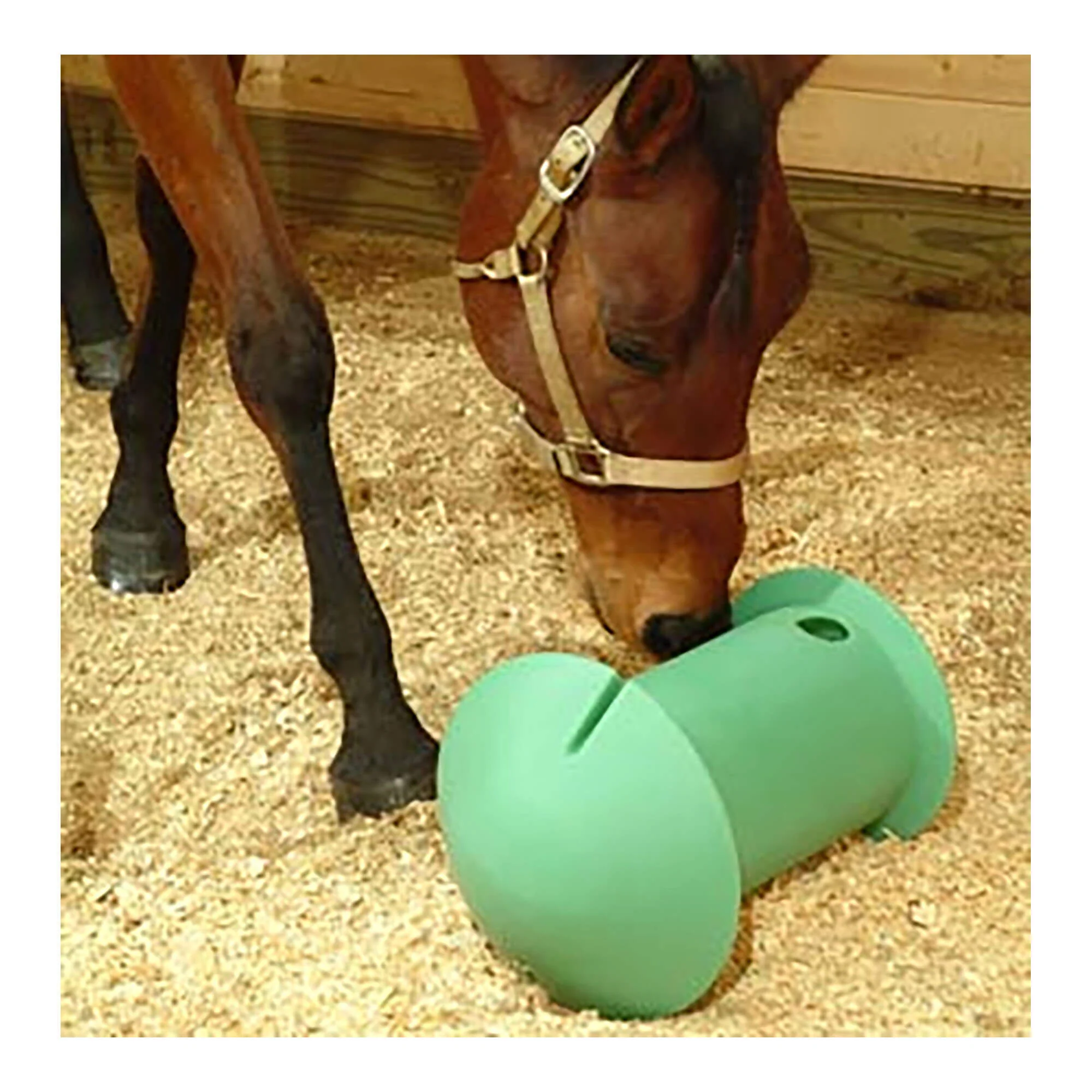 Amazing Graze Equine Treat Dispenser - Image 2