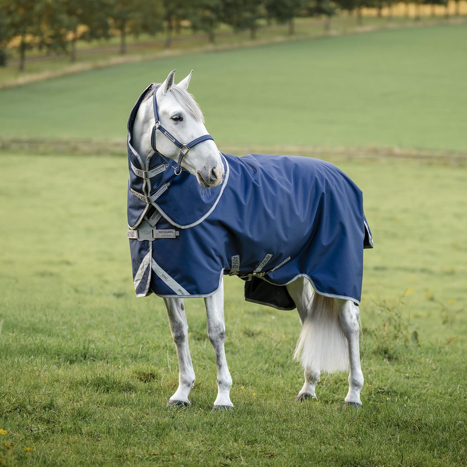 Amigo 1200D FieldSafe Plus Horse Turnout Blanket – Safety Surcingles, Reflective Strips & 250g Insulation