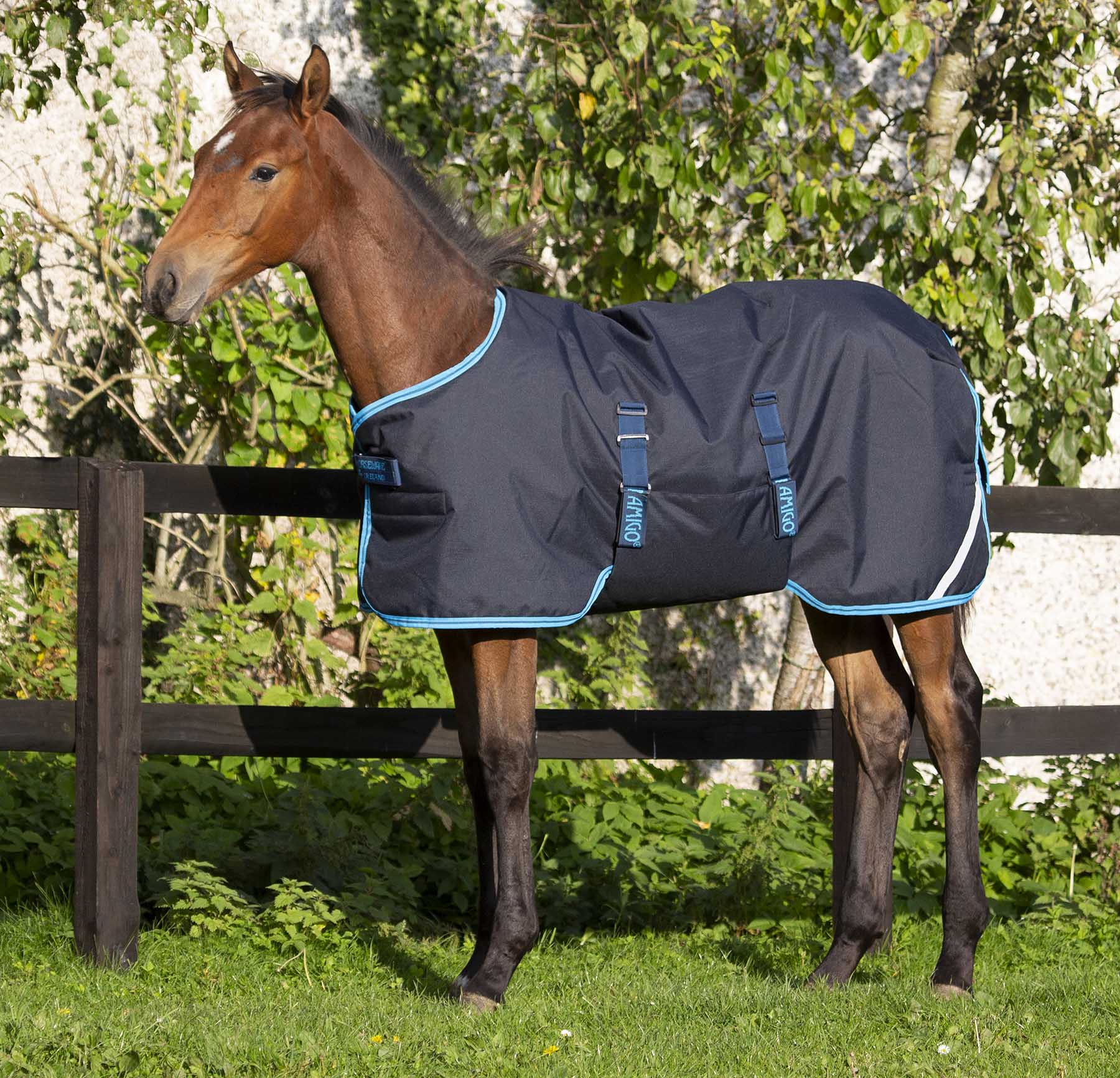 Amigo 600D Foal Blanket, 200 gram, Medium Weight - Image 1