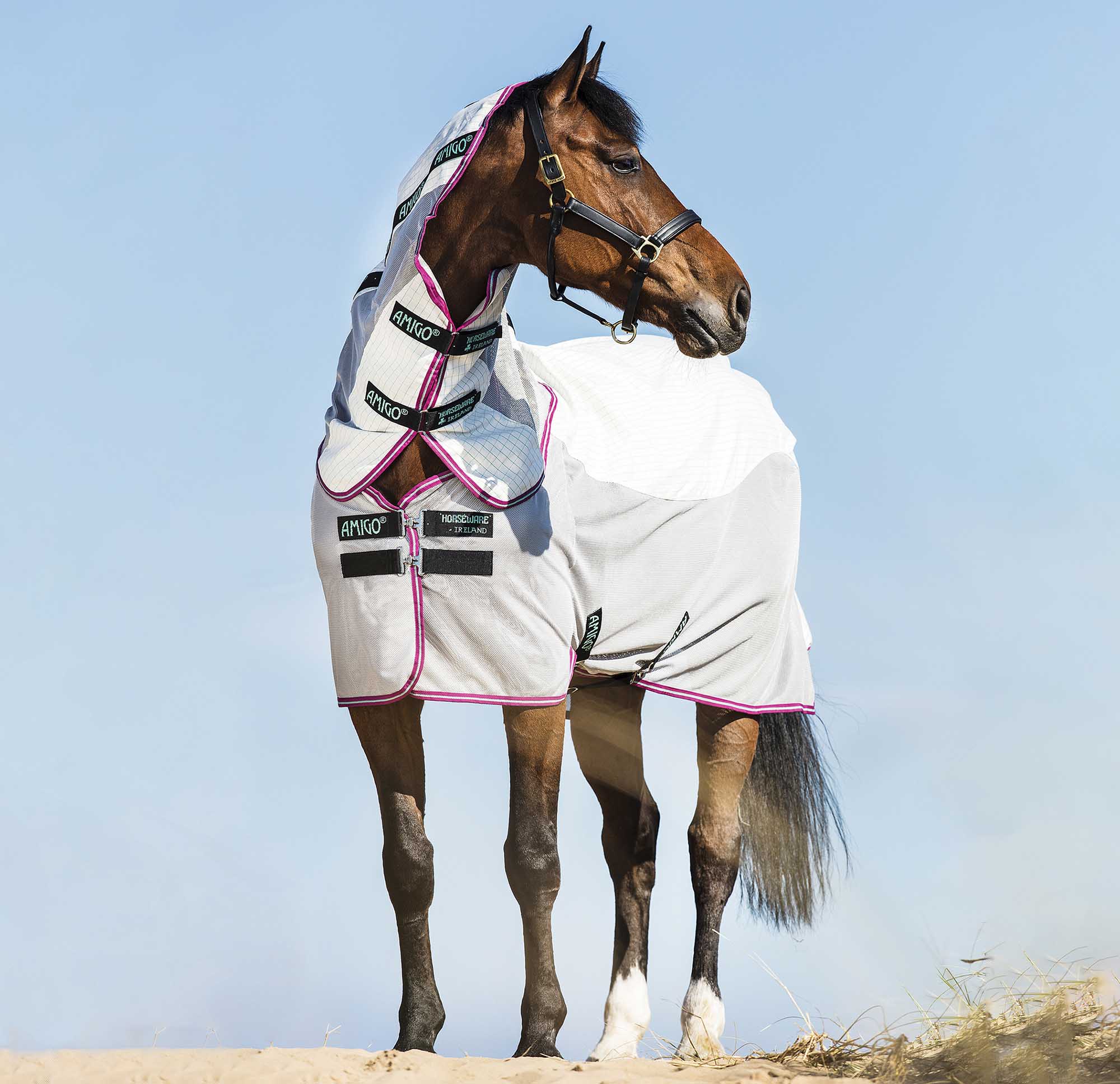 Amigo Airflow Fly Sheet for Horses with UV Protection