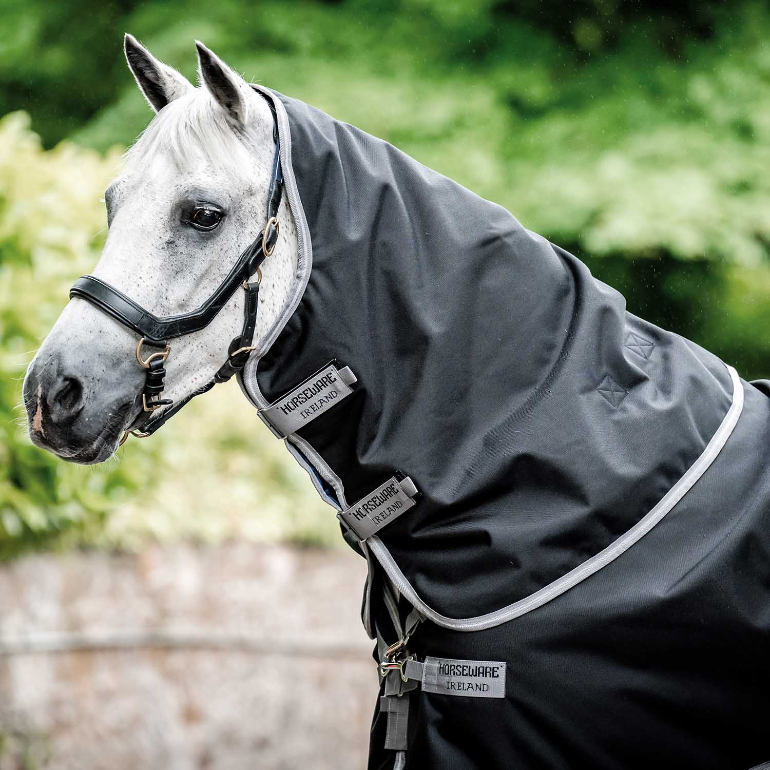 Amigo Bravo 12 Plus Horse Turnout Blanket 250g, Waterproof Medium Weight with Detachable Hood, 1200D Durable Outer - Image 3