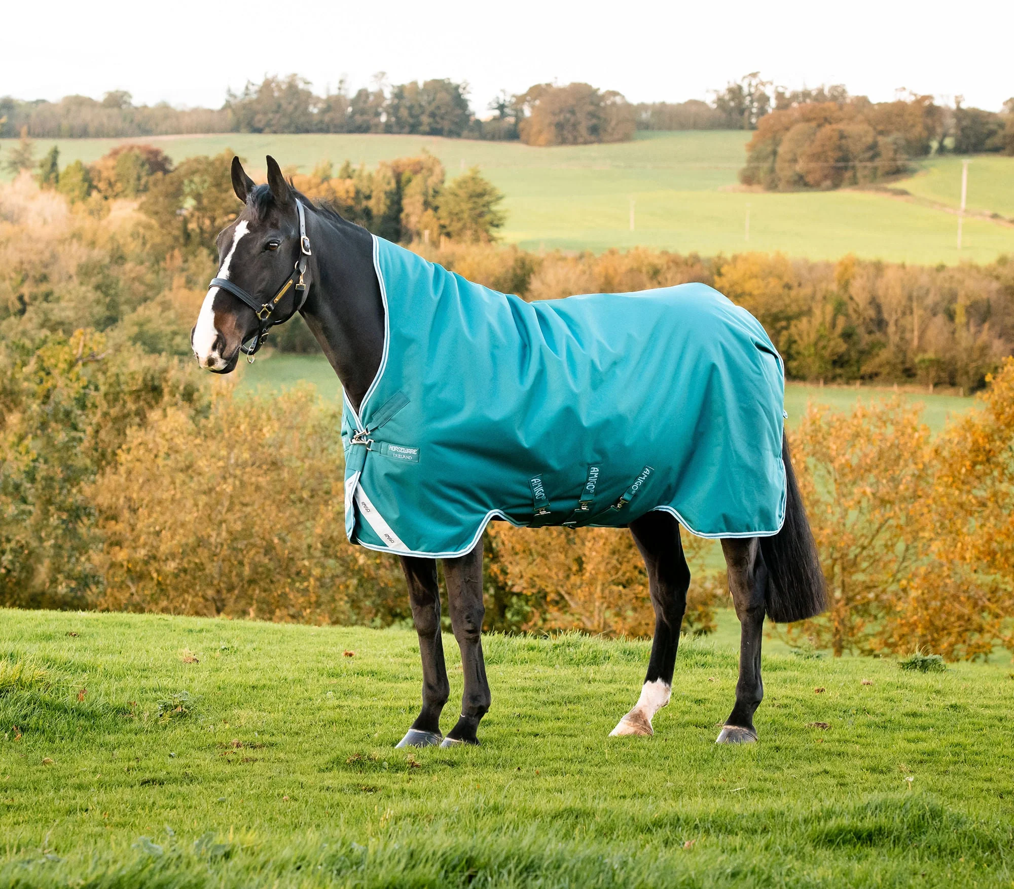 Horseware Amigo Bravo 12 Wug Turnout Blanket 250g Medium Weight - Waterproof, Breathable, High Withers Fit - Image 1