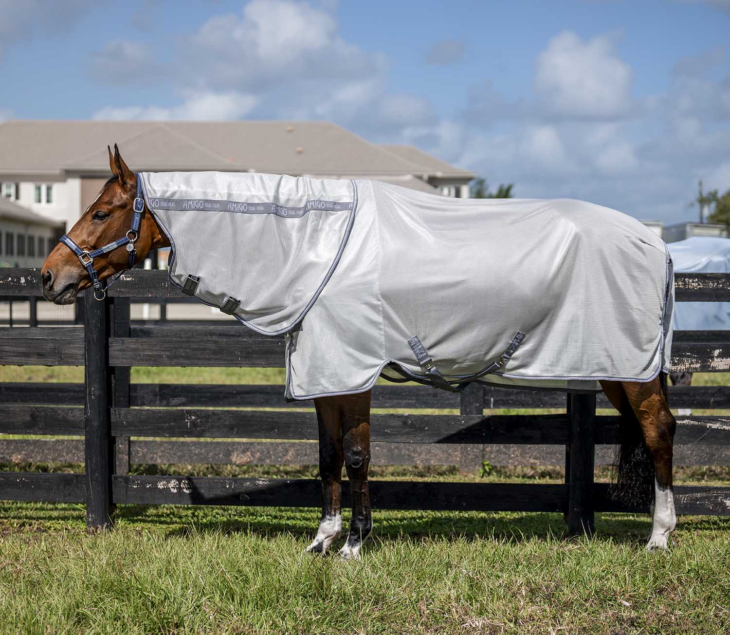 Amigo Bug Rug Plus Fly Sheet for Horses - Image 1