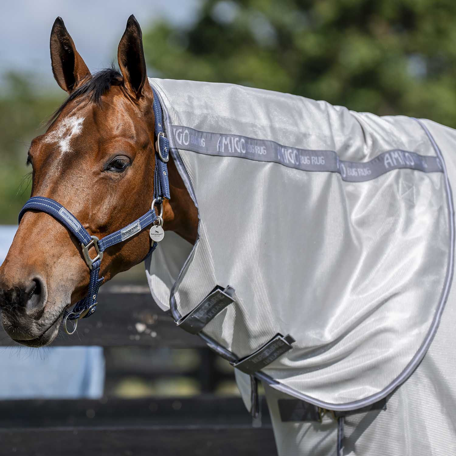 Amigo Bug Rug Plus Fly Sheet for Horses - Image 2