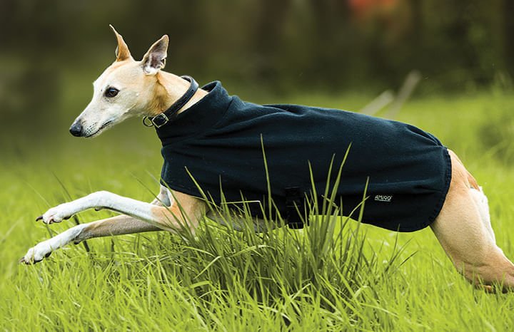 Amigo Fleece Dog Blanket - Image 1
