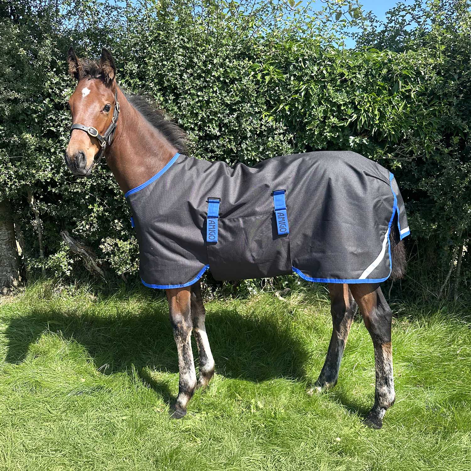 Amigo Foal Turnout Blanket 900D Ripstop – 200g Insulation, Adjustable Fit & Safety Reflective