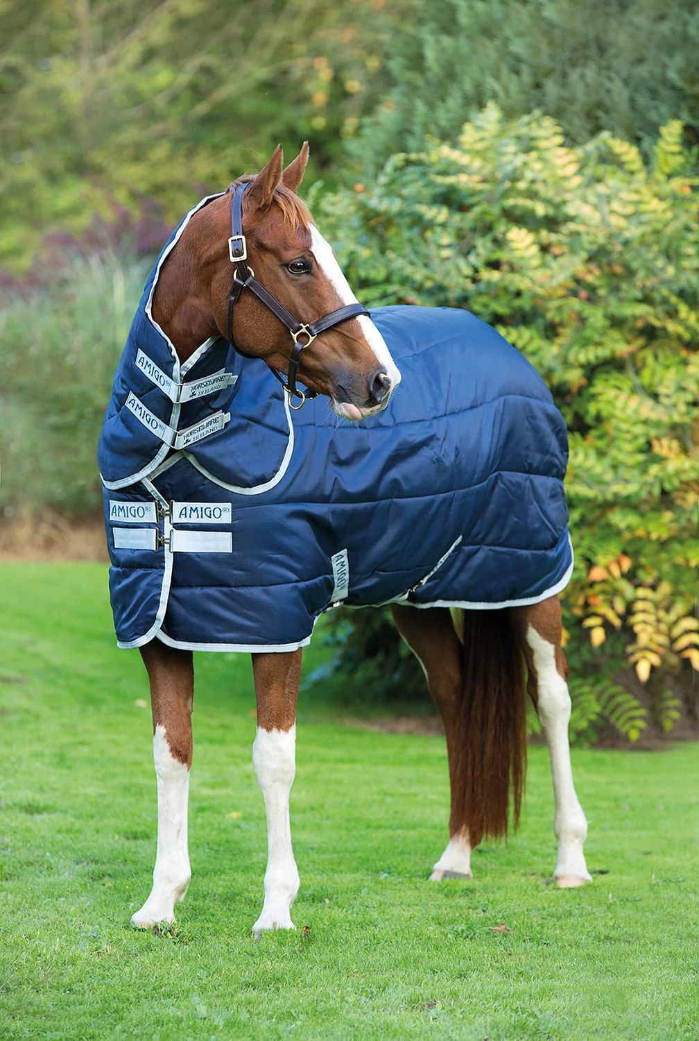 Amigo Insulator Plus 210D, 200g Medium Weight Horse Blanket with Detachable Hood – Thermobonded Insulated Stable Blanket