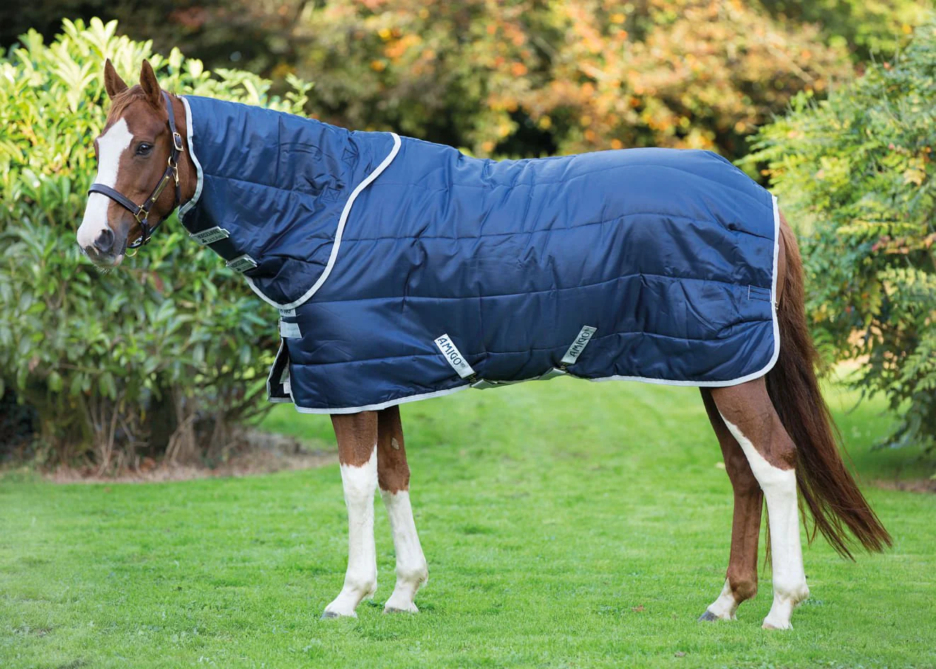 Amigo Insulator Plus 210D, 200g Medium Weight Horse Blanket with Detachable Hood - Thermobonded Insulated Stable Blanket - Image 2
