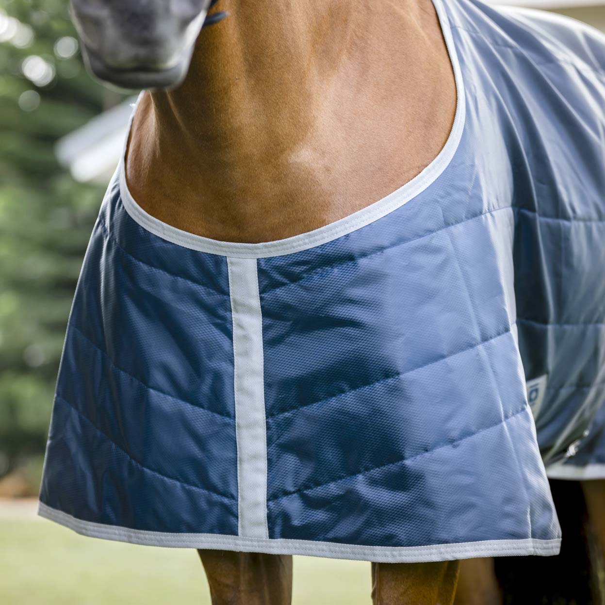 Amigo Ionic Therapy Quarter Horse Stable Blanket - 210D, 50g Lightweight, Far Infrared Recovery Rug - Image 2