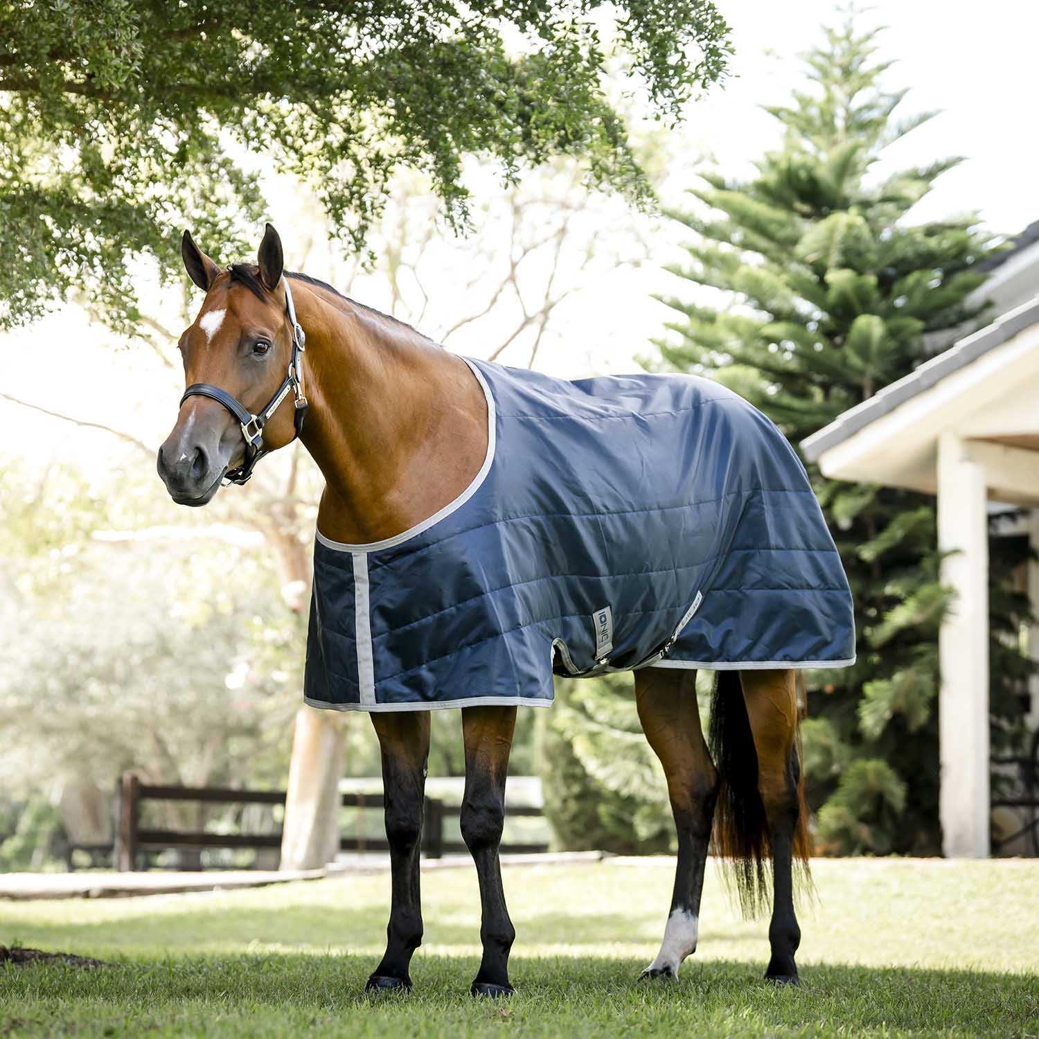 Amigo Ionic Therapy Quarter Horse Stable Blanket – 210D, 50g Lightweight, Far Infrared Recovery Rug