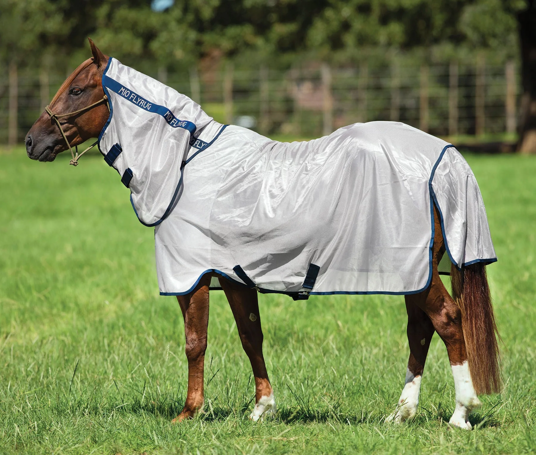 Amigo Mio Fly Sheet with Integrated Neck Cover – Breathable, Insect & UV Protection Horse Sheet