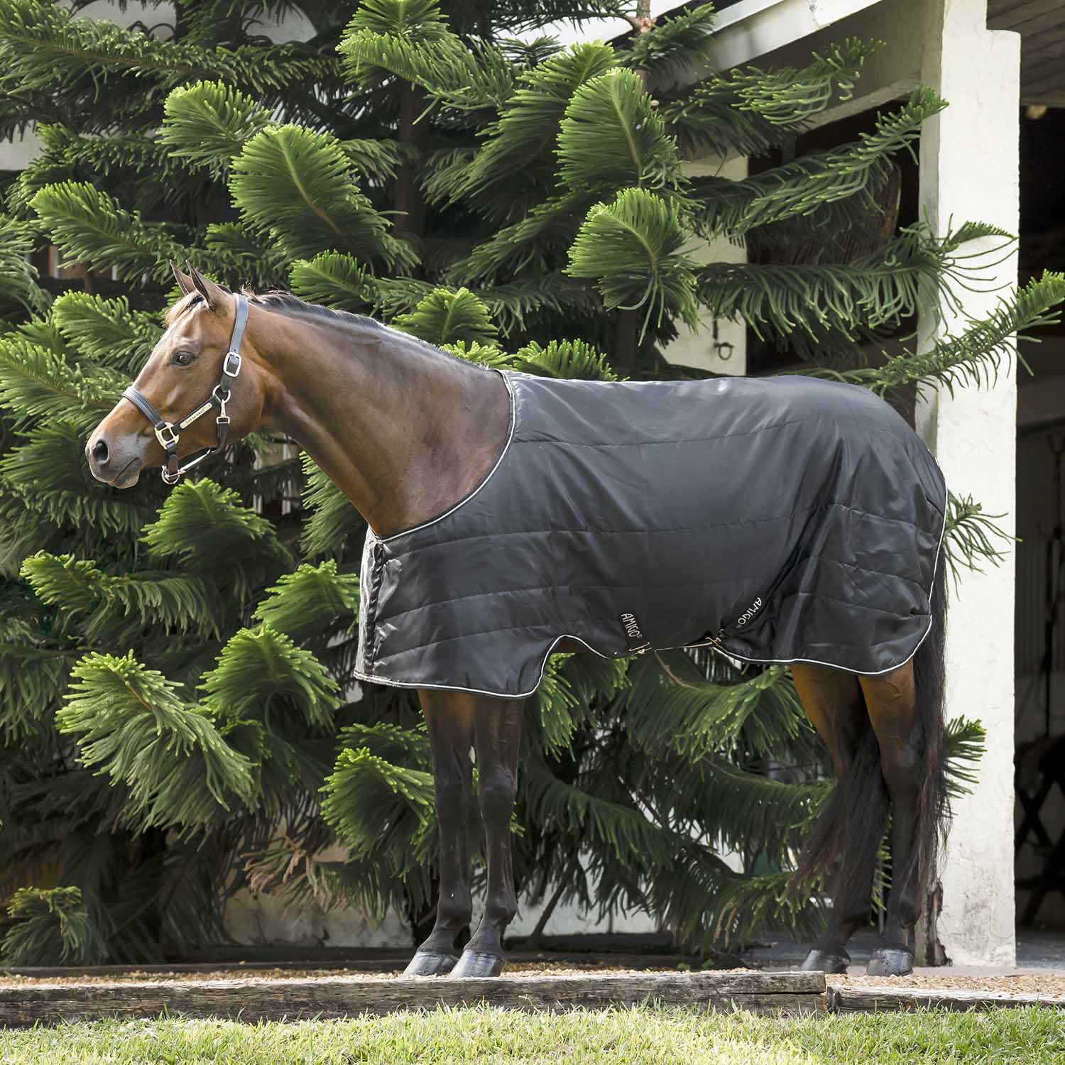 Amigo Quarter Horse Stable Blanket 210D Ripstop, 100g or 200g Fill, Stocky Build Fit