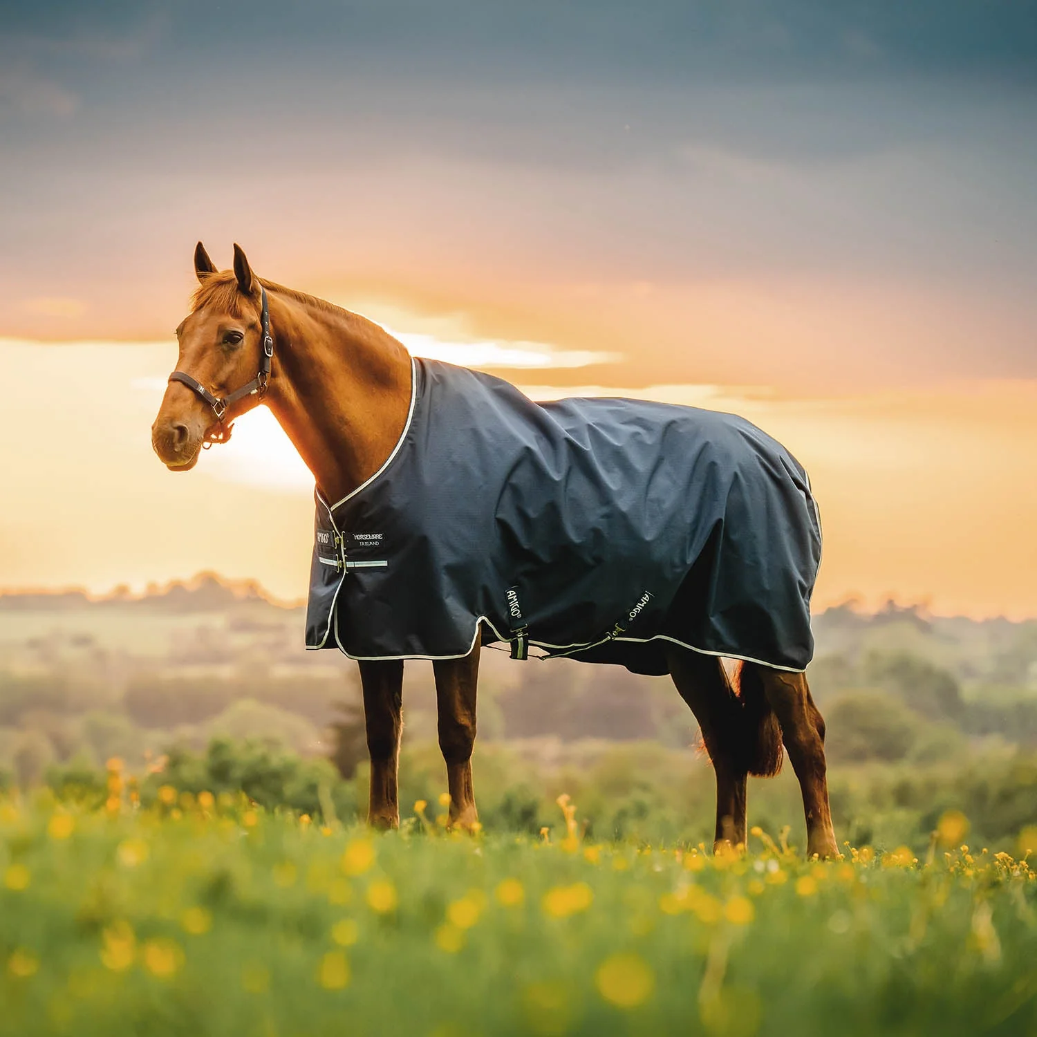 Amigo Ripstop 900D, 200g Turnout Blanket - Waterproof, Breathable Midweight Horse Rug - Image 1