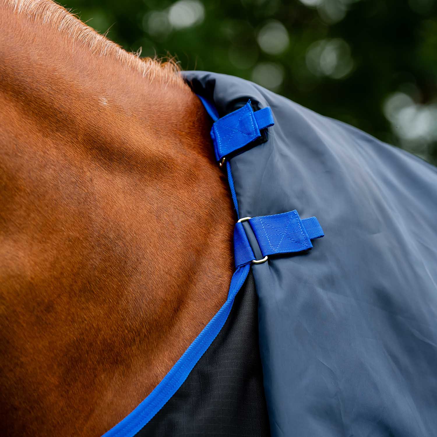 Amigo Ripstop 900D Plus Horse Turnout Blanket - 200g Medium Weight, Waterproof with Detachable Hood - Image 2