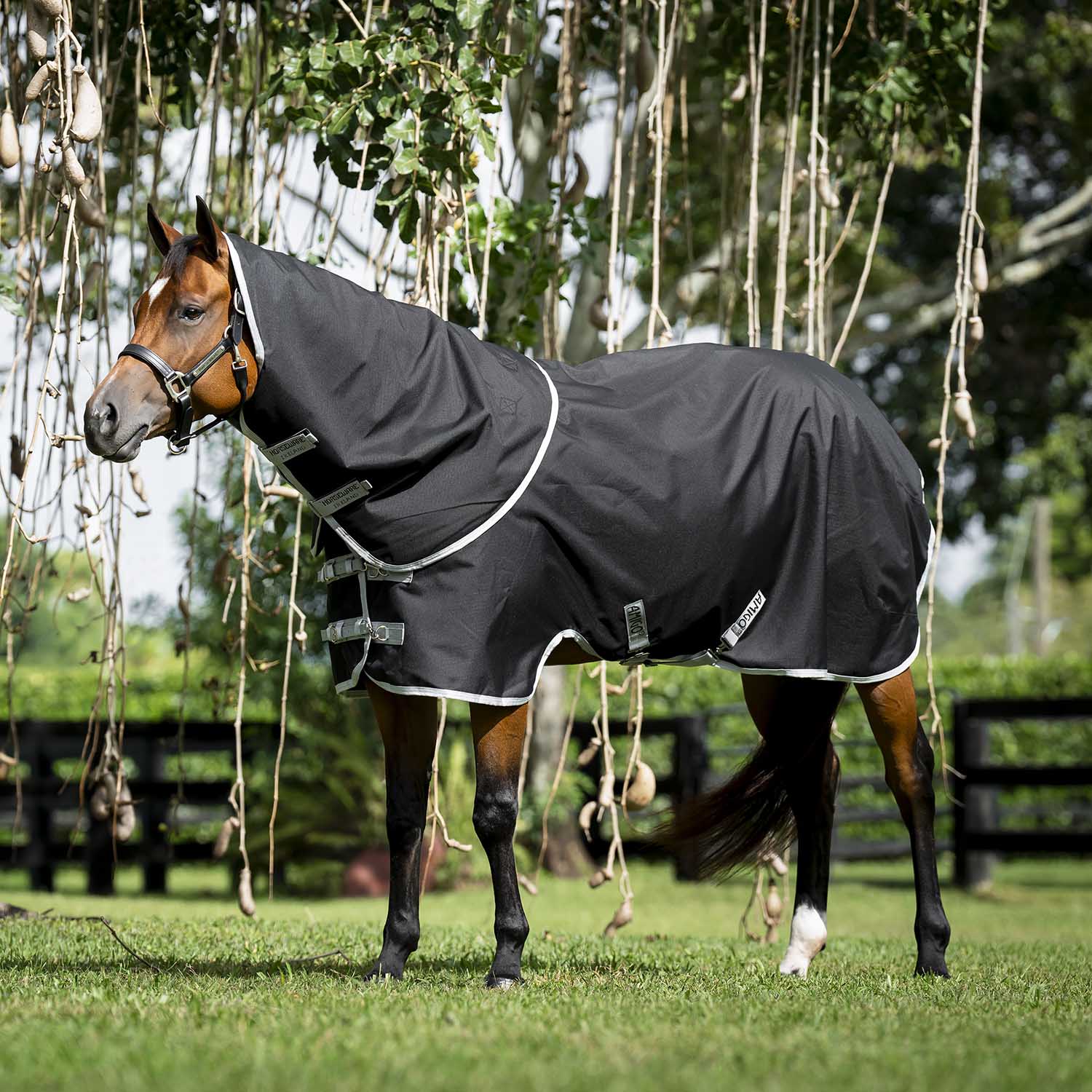 Amigo Ripstop 900D Quarter Horse Plus Turnout Blanket - 200g Medium Weight, Waterproof with Detachable Hood - Image 1