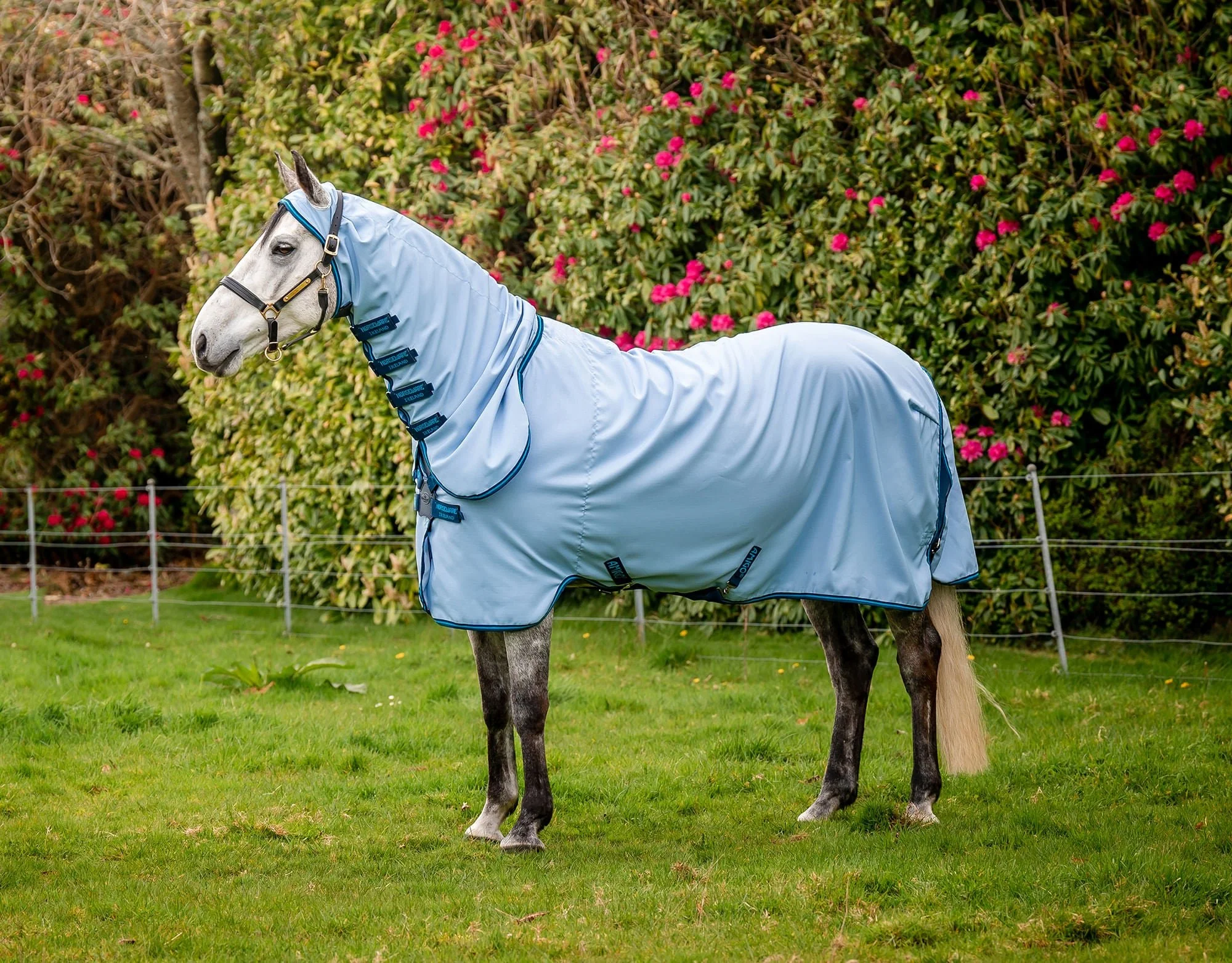 Amigo Ripstop Hoody Horse Fly Sheet - Lightweight, UV & Insect Protection with Integrated Neck Cover - Image 1