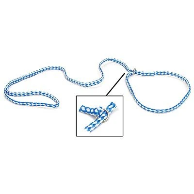 Jeffers Animal Control Slip Dog Lead, Braided Poly, 6’L