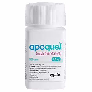Rx Apoquel (oclacitinib) Tablets for Dogs by Zoetis - Image 1