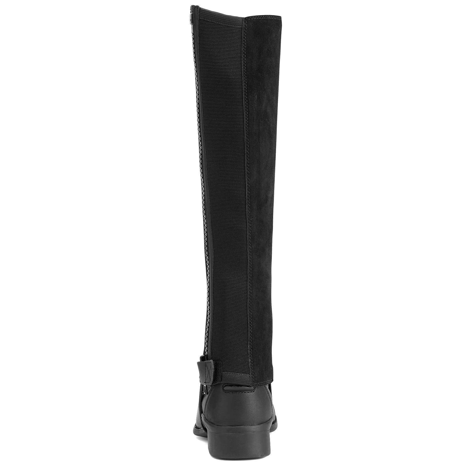 Ariat Scout Half Chap, Adult, Black - Image 2