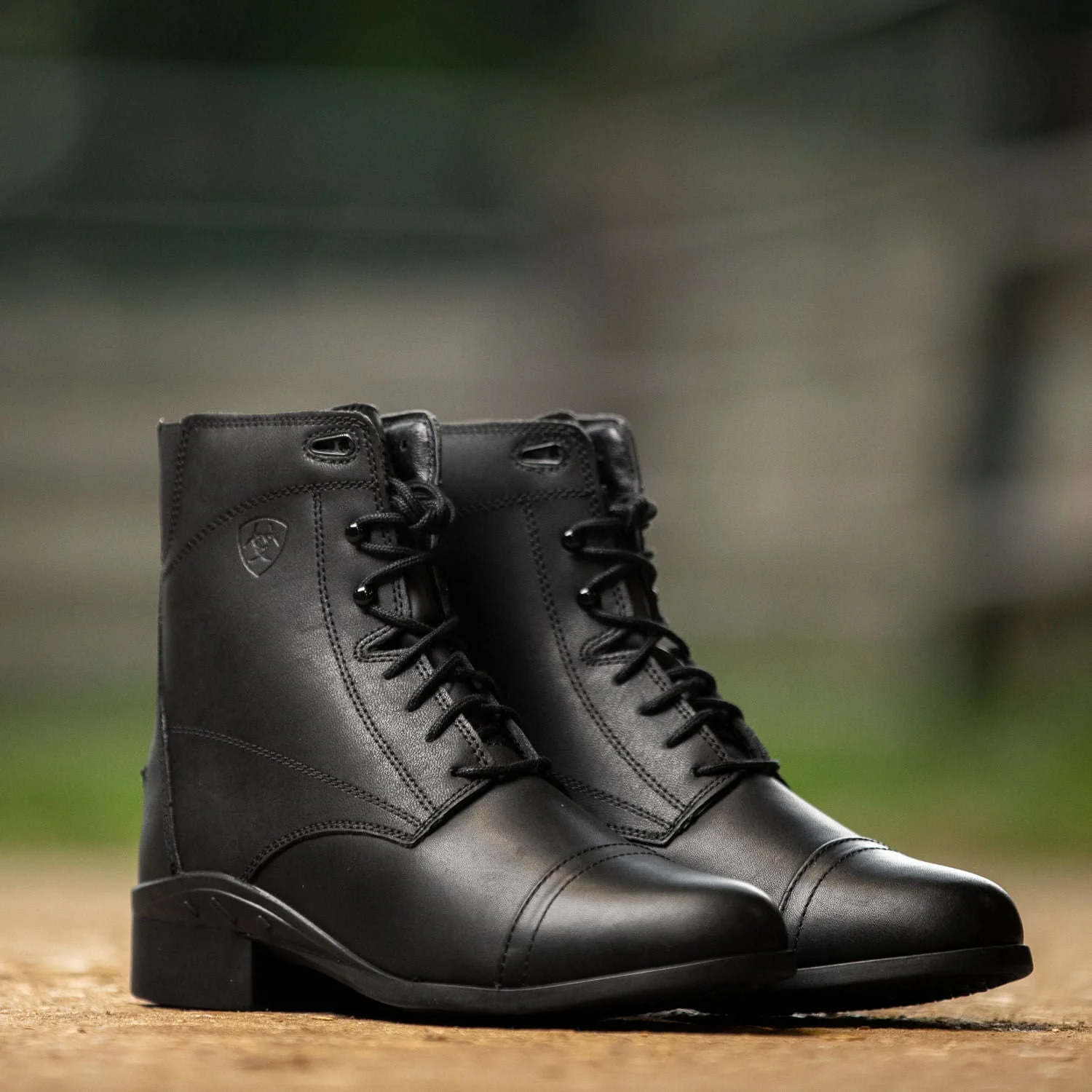 Ariat Women's Scout Paddock Boot, Black - Image 2